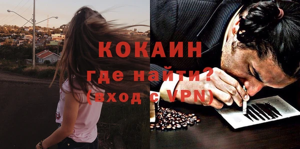 тгк Бородино