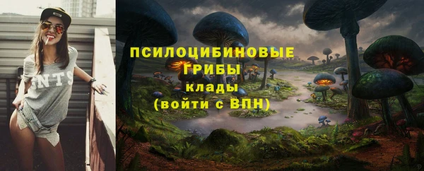 тгк Бородино